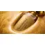 Парфуми з феромонами PheroStrong Pheromone Duo унісекс, 50 мл - Фото №9