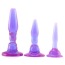 Набор из 3 анальных пробок Wendy Williams Anal Trainer Kit, фиолетовый - Фото №0