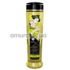 Массажное масло Shunga Erotic Massage Oil Irresistible Asian Fusion - азиатские фрукты, 240 мл - Фото №1