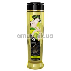 Масажна олія Shunga Erotic Massage Oil Irresistible Asian Fusion - азіатські фрукти, 240 мл - Фото №1
