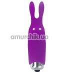 Клиторальный вибратор Adrien Lastic Pocket Vibe Rabbit, фиолетовый - Фото №1