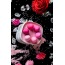 Набор из 6 вагинальных шариков Eromantica K-Rose, розовый - Фото №14