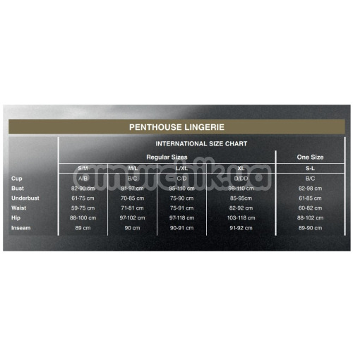 Комплект Penthouse Lingerie Poison Cookie, черный: платье + трусики-стринги + украшение