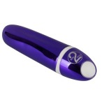 Клиторальный вибратор Brilliant Mini Vibe, фиолетовый - Фото №1