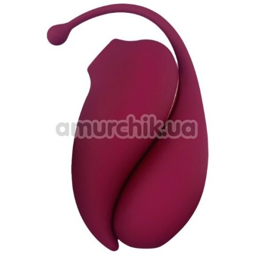Набор Adrien Lastic Inspiration: Clitoral Suction Stimulator + Vibrating Egg, бордовый