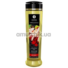 Масажна олія Shunga Organica Kissable Massage Oil Maple Delight - кленовий сироп, 240 мл - Фото №1