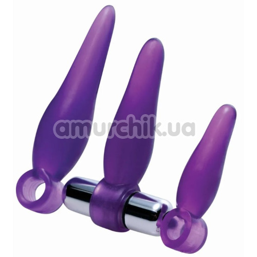 Набор анальных пробок с вибрацией Frisky Fanny Fiddlers 3 Piece Finger Rimmer Set + Vibrating Bullet, фиолетовый
