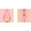 Искусственная вагина и анус Kokos Real Hip Hera, телесная - Фото №6