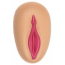 Игрушка-антистресс Sexy Squeeze Assortment Vagina - Фото №1