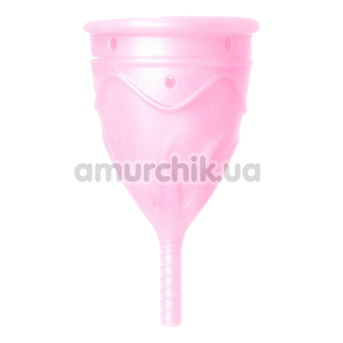 Набор Femintimate Eve Cup S: менструльная чаша + интимный душ