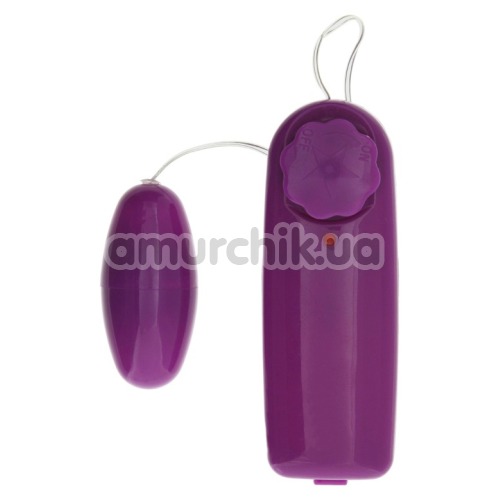 Набор Fantastic Purple Sex Toy Kit, фиолетовый