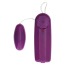 Набор Fantastic Purple Sex Toy Kit, фиолетовый - Фото №3
