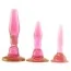Набор из 3 анальных пробок Wendy Williams Anal Trainer Kit, розовый - Фото №1