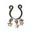 Прикраса для соска Nipple Charm Star, бронзова