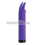 Кліторальний вібратор S Pleasures Bullets Amethyst, фіолетовий - Фото №1