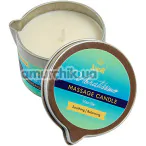 Масажна свічка Amor Vibratissimo Massage Candle Vanille - ваніль, 100 мл - Фото №1