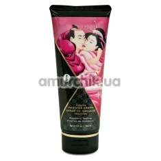 Крем для массажа Shunga Kissable Massage Cream Raspberry Feeling - малина, 200 мл - Фото №1