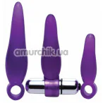 Набор анальных пробок с вибрацией Frisky Fanny Fiddlers 3 Piece Finger Rimmer Set + Vibrating Bullet, фиолетовый - Фото №1