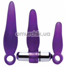Набір анальних пробок з вібрацією Frisky Fanny Fiddlers 3 Piece Finger Rimmer Set + Vibrating Bullet, фіолетовий - Фото №1