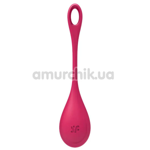Адвент-календарь Satisfyer Premium Erotic Advent Calendar 2024