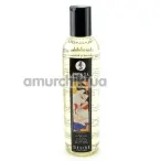 Массажное масло Shunga Erotic Massage Oil Desire Vanilla - ваниль, 250 мл - Фото №1