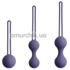 Набор вагинальных шариков So Divine Kegel Ball Training Set, фиолетовый - Фото №1