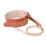 Ошейник с поводком Blaze Elite Collar and Leash, коричневый - Фото №1