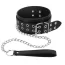 Ошейник с поводком Fetish Tentation Choker Eyalets and Leash, чёрный - Фото №1