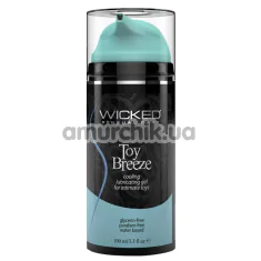 Лубрикант для секс-игрушек с охлаждающим эффектом Wicked Toy Breeze, 100 мл - Фото №1