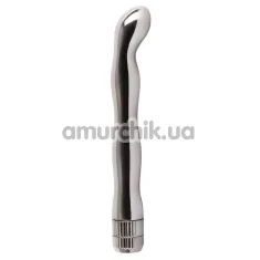 Вібратор Brilliant Anal Vibrator, срібний - Фото №1