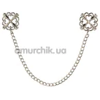 Затискачі для сосків Bad Kitty Nipple Jewellery with Metal Chain, срібні - Фото №1