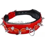 Ошейник DS Fetish Leather Collar Jewel & Spike, красный - Фото №1