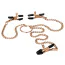 Затискачі для сосків і клітора Entice Accesories Triple Intimate Clamps, золоті - Фото №2