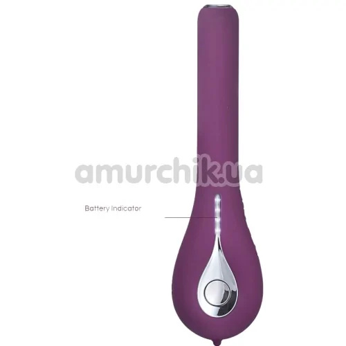 Вибратор с видеокамерой Svakom Siime Eye Camera Vibrator, фиолетовый