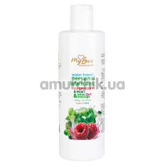 Масажний лубрикант MyLove Aroma Series Personal Lubricant 2in1 Raspberry & Mint - малина та м'ята, 300 мл - Фото №1