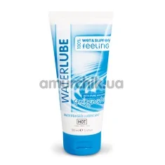 Лубрикант Waterlube SpringWater - родниковая вода, 100 мл - Фото №1