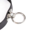 Ошейник DS Fetish Collar With Ring & Without Line, черный - Фото №2