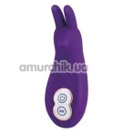 Кліторальний вібратор Bliss Rabbit Power Massager, фіолетовий - Фото №1
