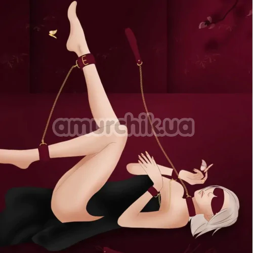 Бондажный набор Roomfun BDSM Kit, бордовый