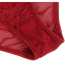Комплект Star Night Sheer & Lace Bow Garter Belt, червоний: пояс для панчіх + трусики - Фото №10