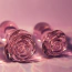 Набор анальных пробок Glaze Glass Rosebud Anal Training Set, розовый - Фото №11