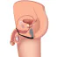 Стимулятор простаты с эрекционным кольцом Master Series Prostatic Play Explorer II Prostate Stimulator And Cock Ring, черный - Фото №4