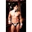Костюм офіціанта JSY Sexy Lingerie SO2297 чорно-білий: труси + галстук + манжети - Фото №2