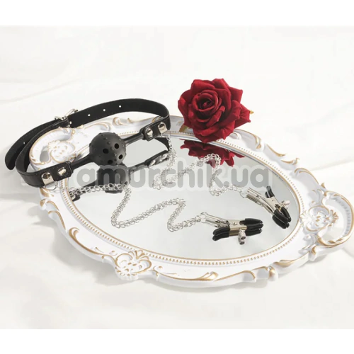 Кляп с зажимами для сосков Roomfun SM Flirting Ball Gag With Nipple Clamps, черный
