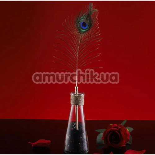 Набір пір'їнок для пестощів Lockink Natural Peacock Flirting Feather Tickler, райдужний