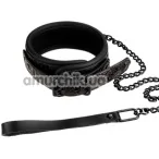 Нашийник з довгим повідком Blaze Luxury Fetish Collar and Leash, фіолетовий - Фото №1