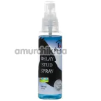 Спрей-пролонгатор Love Stim Delay Stud Spray, 100 мл - Фото №1