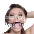 Кляп Extreme Spider Gag - Фото №1