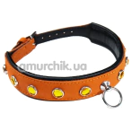 Ошейник DS Fetish Leather Collar Jewel, оранжевый - Фото №1