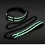 Ошейник с поводком Glo Bondage Collar & Leash, черный - Фото №2